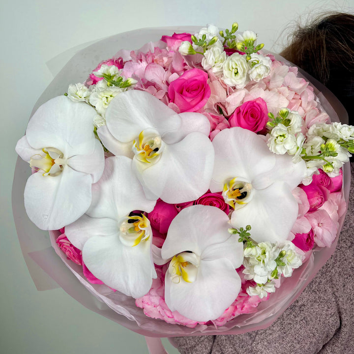 Blush Orchid Whisper