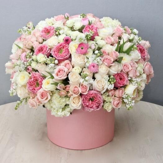 Ivory Blush
