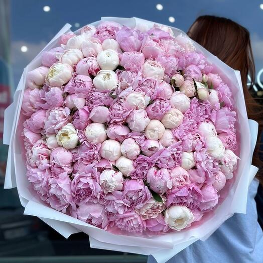 Peony Empire