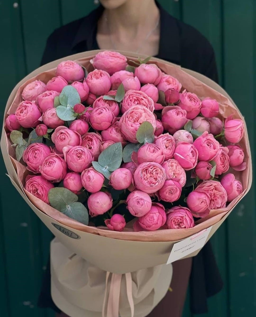 Sweet Rose